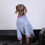 Собачья одежда зима большая собака теплый лабрадор локоть одежда золотой ретривер модный интернет -знаменитый собака Зимняя одежда зимняя одежда