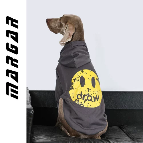 Одежда для собак с собаками с собаками осень и зимний золотой мао ​​Ладо Саммел красивый и приличный противный нагреватель