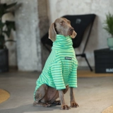 Одежда для собак Большие собаки весной и осенью тонкие полосы с дубинским водолазкой