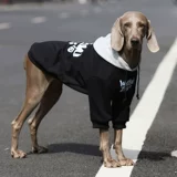 Одежда для собак крупные собаки осенью и зимой плюс золотые волосы, золотая ретрада, лабрадо гигантская бренда прилив красивой питомник