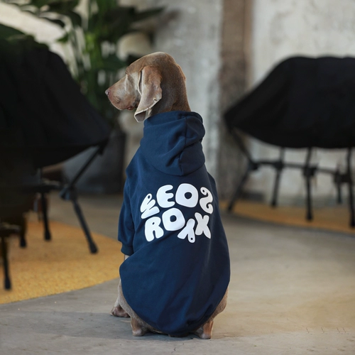 Собачья одежда осень Большая собачья одежда Антиспонизы