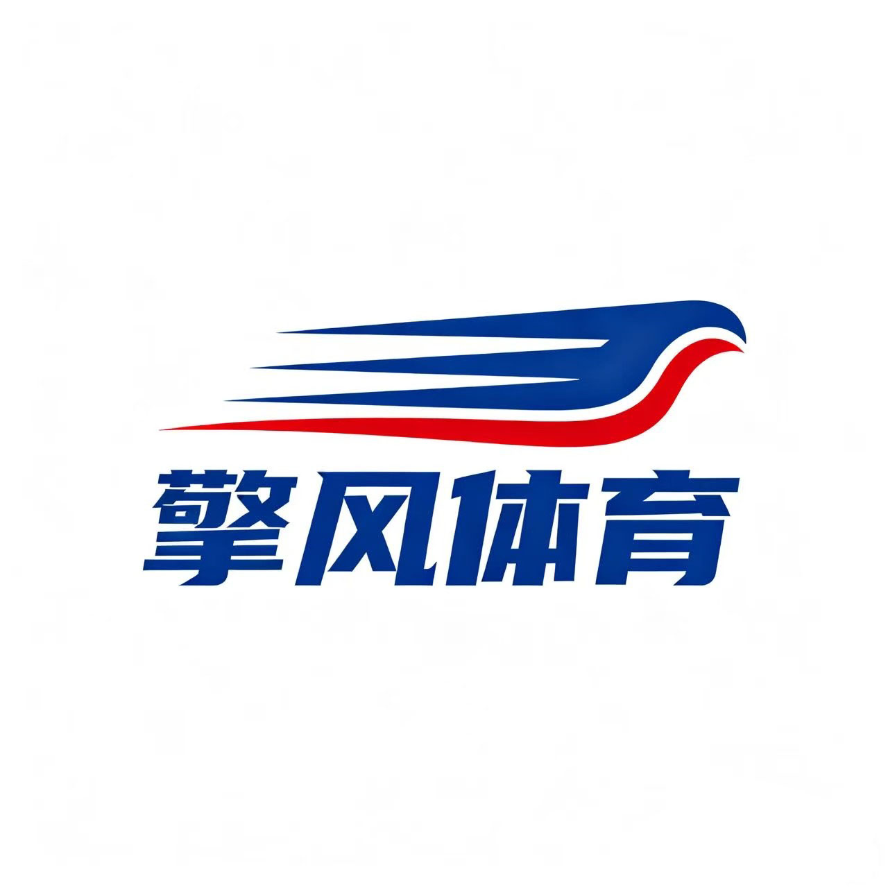 擎风体育 只售正品的LOGO