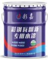 河北彩嘉水漆的LOGO