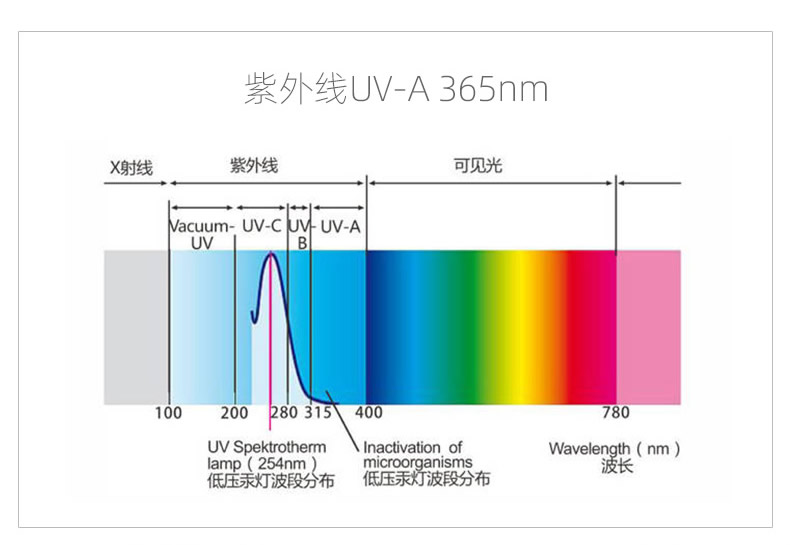 Aflatoxin detection pen UV lamp led violet lamp UV lamp 365nm fluorescent agent vegetable detection lamp
