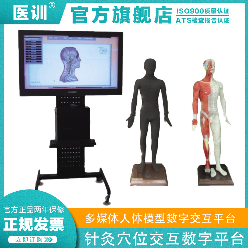 医学 多媒体按摩点穴电子人体模型多媒体人体穴位发光针灸数字交互平台人体针灸穴位发光模型