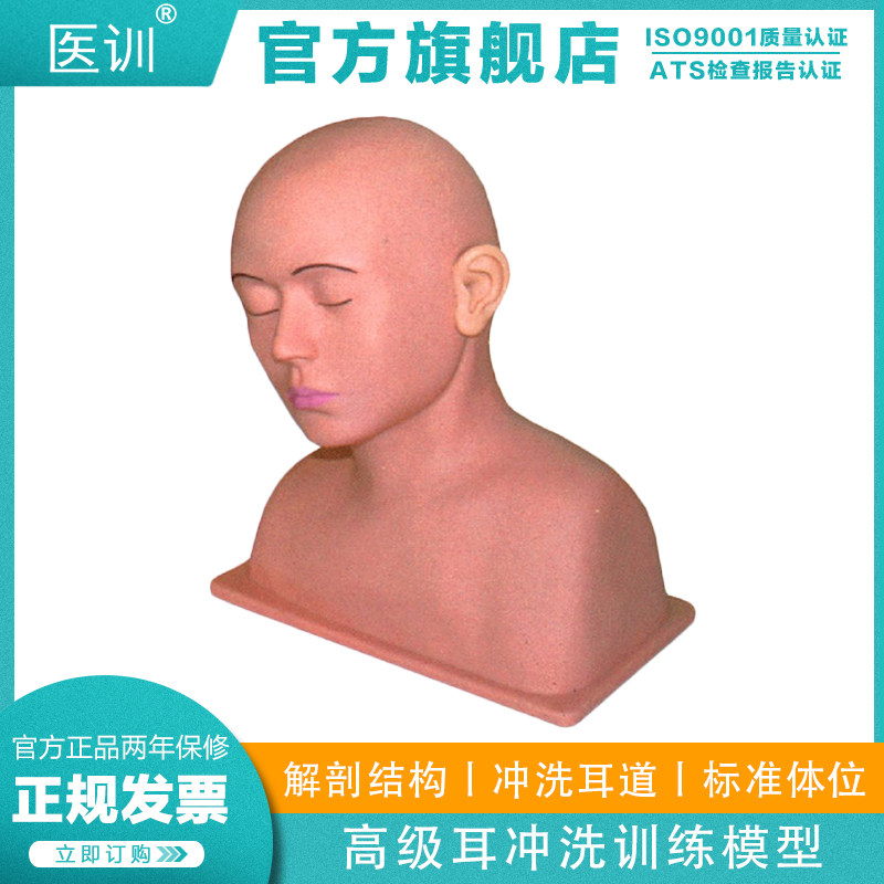 医训 YX/LV40高级耳部冲洗模型 教学模型耳朵 耳道护理冲洗耳道护士训练