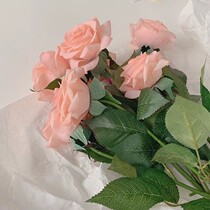 ins champagne powder moisturizing rose simulation flowers bouquet net red photo props Home Decorative Valentines Hand Held Flowers