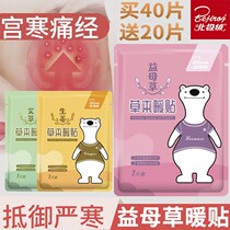 Arctic suede warmed with warm baby sticker from the fever warm palace post conditioning Palace chill Aunt Ache Warp Ai Grass Motherwort