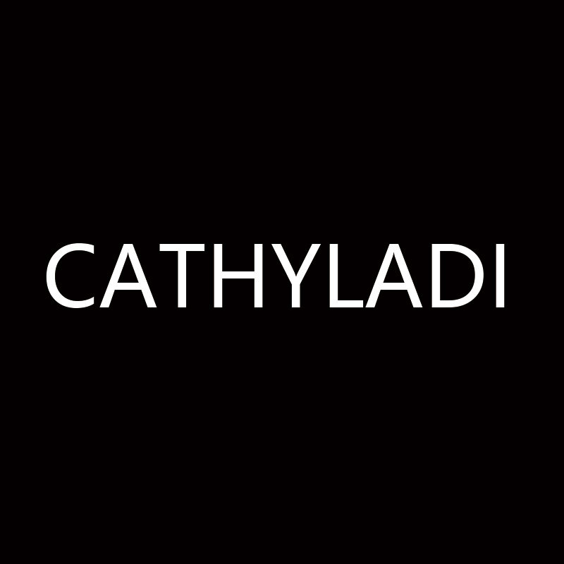 CATHYLADI轻奢专柜