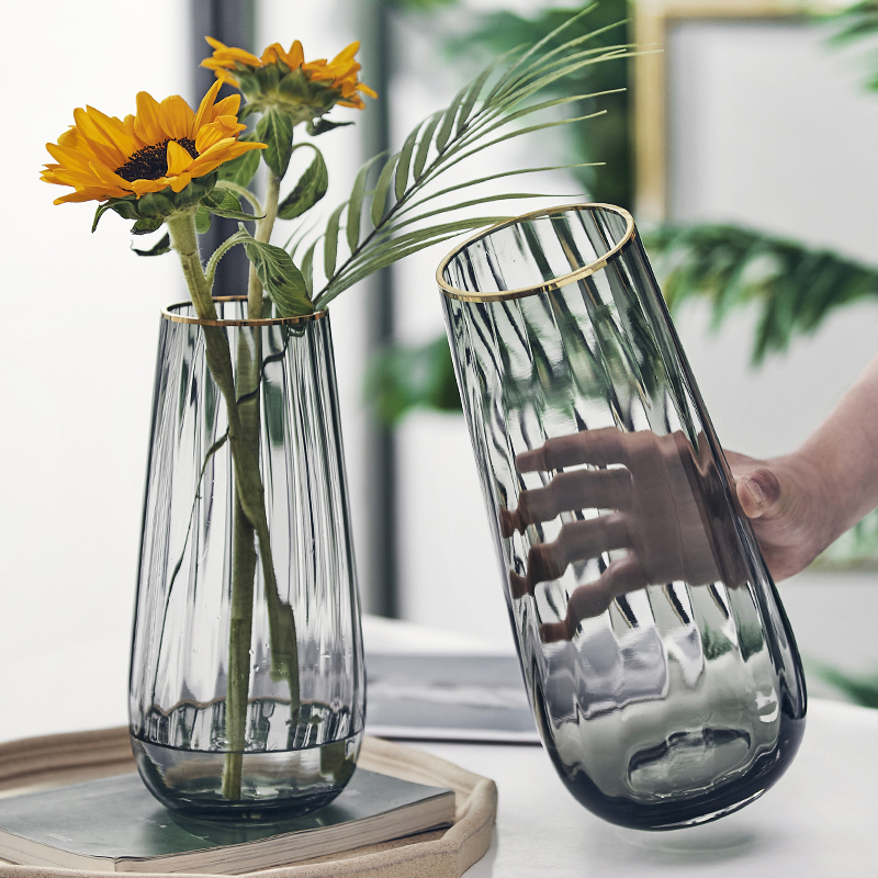 Simple light luxury creative Nordic glass vase transparent hydroponic flowers lucky bamboo lily living room table decoration