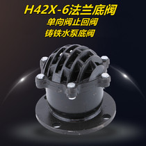 Water pump bottom valve internal thread threaded suction valve cast iron check valve suction bottom valve cast iron flange bottom valve