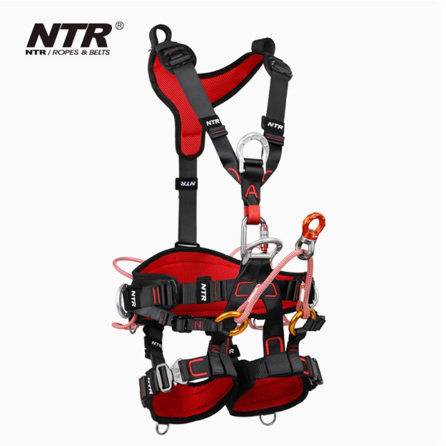 NTR/耐特尔 树上作业 ARBORIST/树艺师 攀树安全带BK43