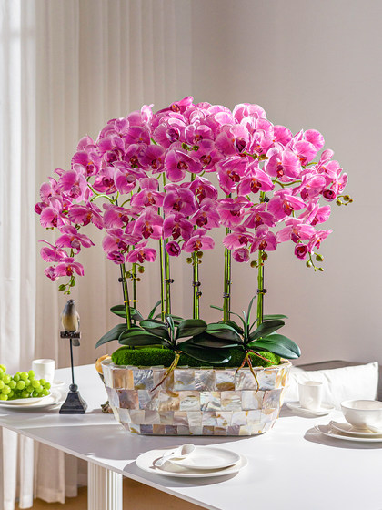 High-End Large Pot with a Moisturizing Feel, Artificial Flower, Phalaenopsis Orchid, Bionic Plastic Fake Flower Arrangement, Living Room Desktop Decoration