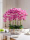 High-End Large Pot with a Moisturizing Feel, Artificial Flower, Phalaenopsis Orchid, Bionic Plastic Fake Flower Arrangement, Living Room Desktop Decoration