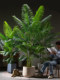 Giant Artificial Areca Palm Tree, Simulated Tree, Living Room Floor-Standing Flower Ornament, Indoor High-End Bionic Green Plant Decoration and Landscaping