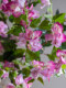 Large Artificial Green Plant Bougainvillea Potted Plant with a High-End Feel for Indoor Living Room, Fake Tree, Floor-Standing Artificial Flower Tree for Decoration and Landscaping