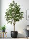 Large Artificial Ficus Tree Plant, Fake Tree for Indoor Living Room, Shop, High-End Bionic Green Plant Decoration, Floor-Standing Ornament