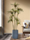 Large Artificial Plant, Millennium Tree, Iron Dragon Blood Tree, Green Plant, Fake Tree, Indoor Landscaping, Potted Plant, Decorative Bonsai