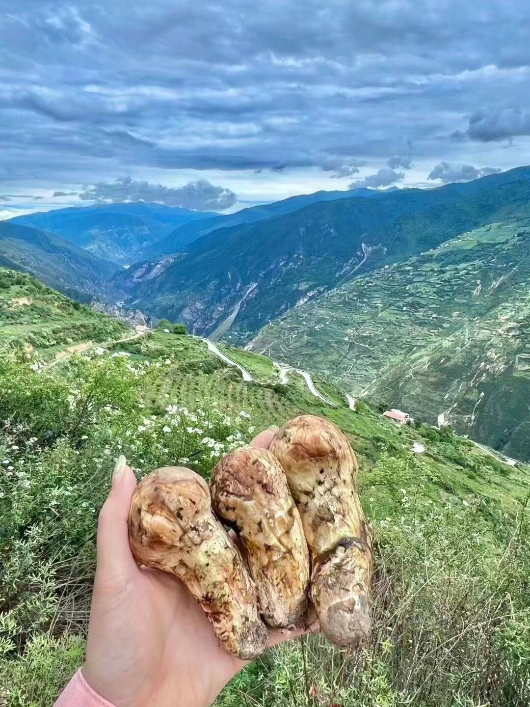 阿坝小金阿妹的特产店