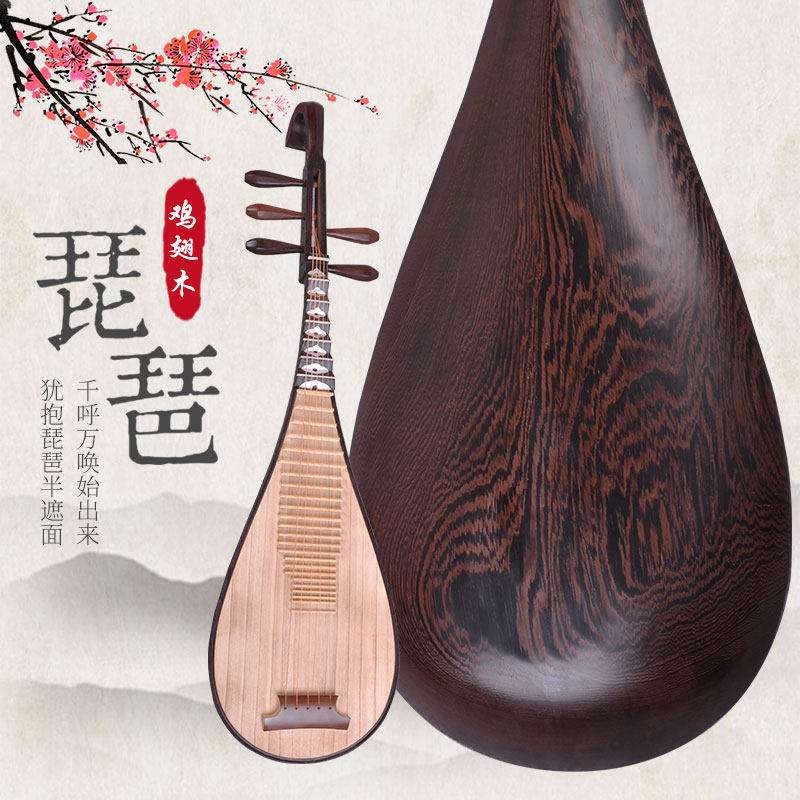 String respect pipa musical instrument children's pipa adult mahogany test grade pipa sour branch wood five strings antique pipa chicken wing wood