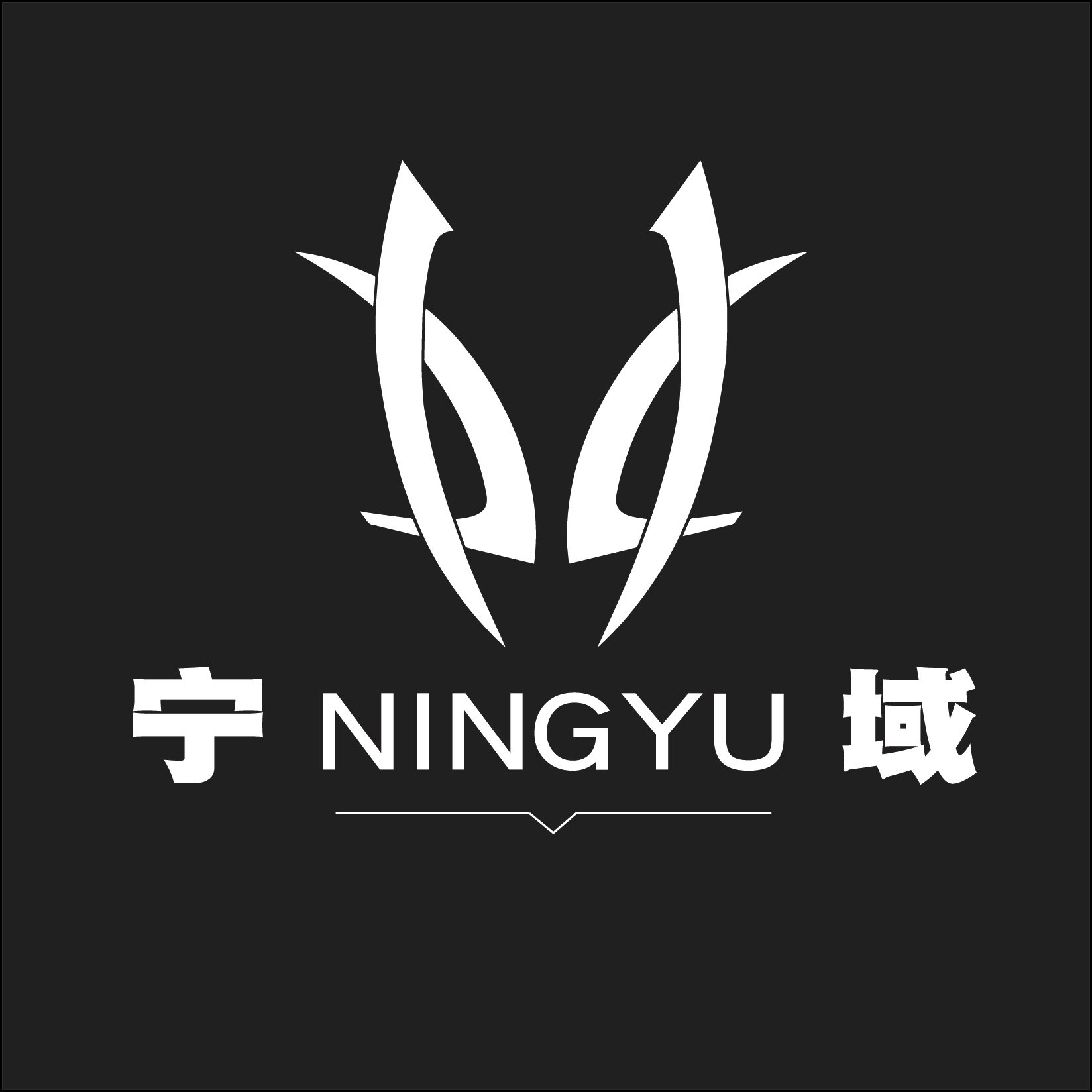 宁域迷你电脑品牌店