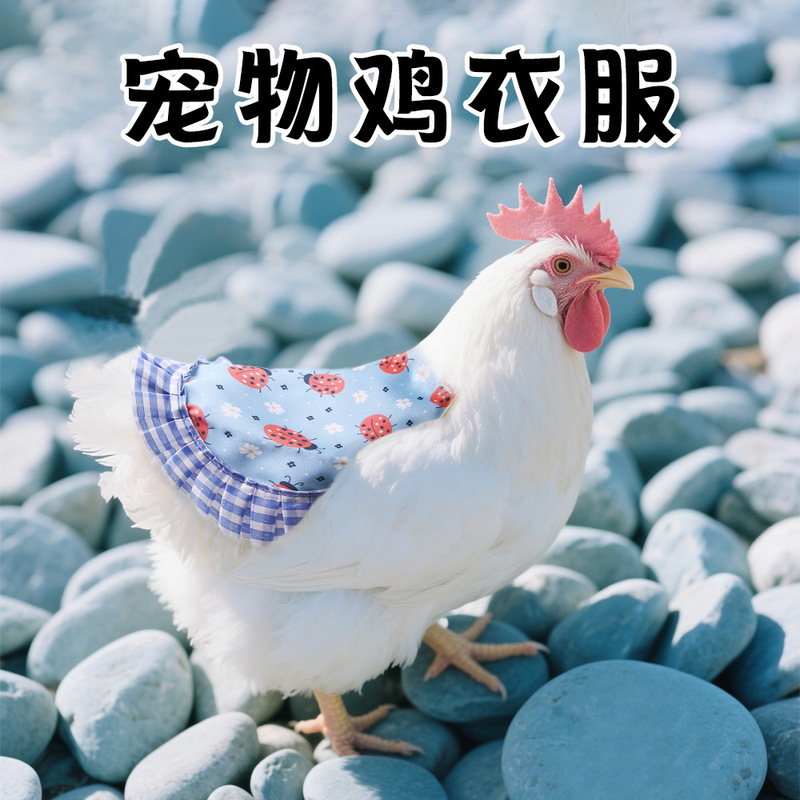Pet Chicken Clothes Waterproof Lace Vest Cole Duck Rutin Chicken Clothing Feather Protective Clothing Apron Bib