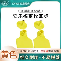 Желтое не -слово 100 платеж