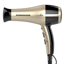 Alice oiled oil cap steam hair care cap hair protector ALICE] High power 2000W Experts use