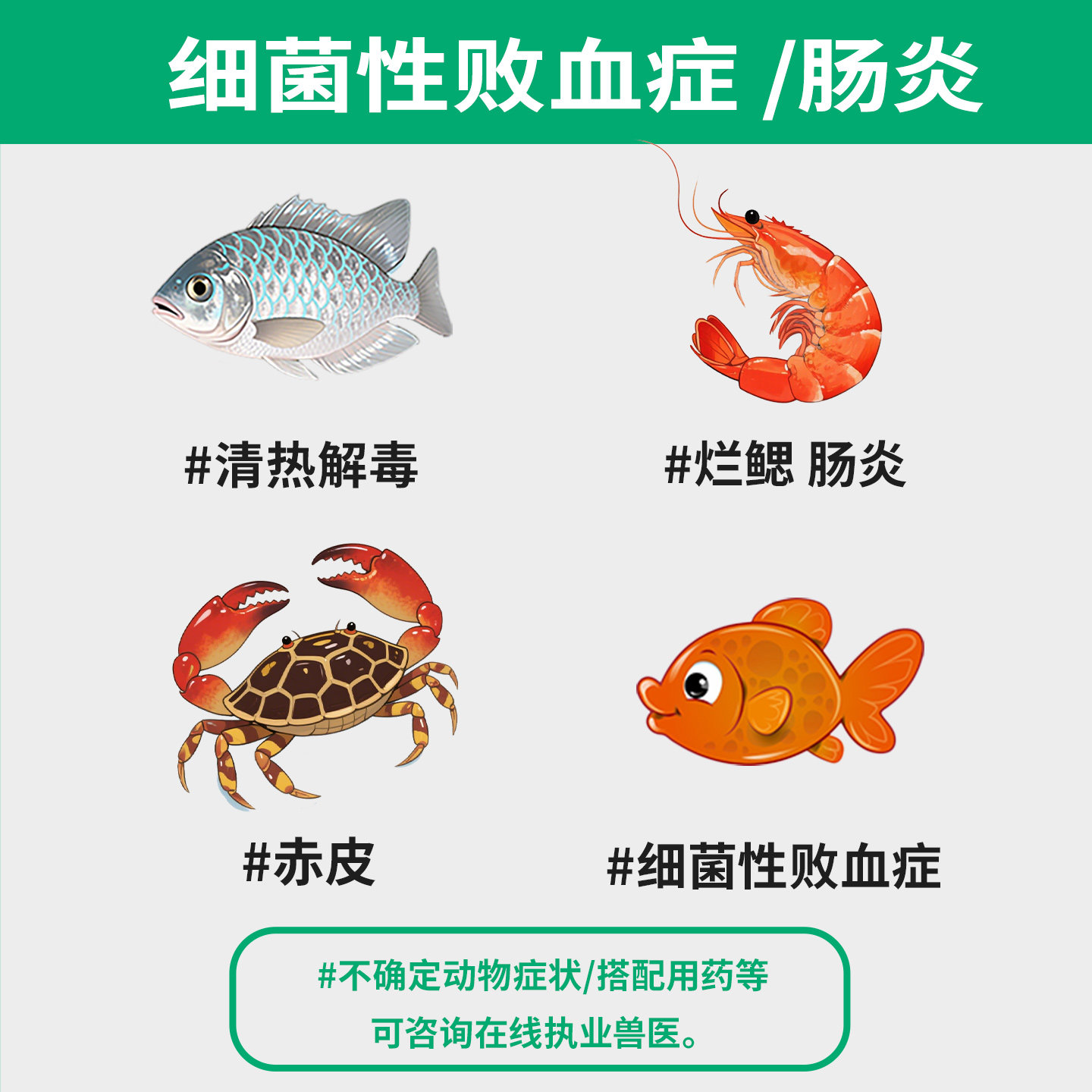 千方动保兽用三黄散如何治疗鱼虾蟹龟的败血症、肠炎、赤皮、烂鳃等问题?-家养大动物药品-淘宝好物网