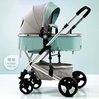 Серебряный трубопровод Lotus Green Eva Колесо