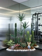 Simulated cactus landscaping ornaments, large creative plant combinations, indoor entrance green plants, cactus column decorative ornaments