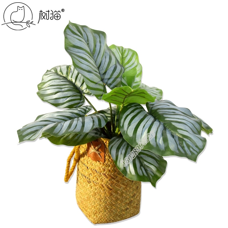Tree Cat 13 Leaf Green Apple Arrowroot Potted Fake Flower Artificial Large Leaf Green Plant Interior Decoration Foliage Plant Florals