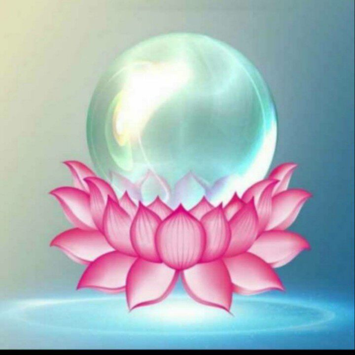 素心禅语的LOGO