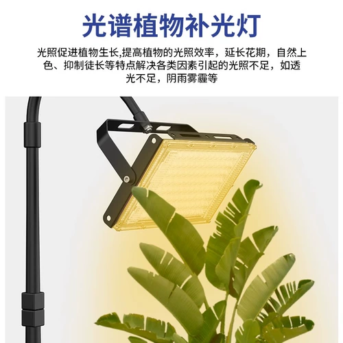 Светодиодный заполняющий свет, лампа для растений на солнечной энергии, комфортный световой спектр