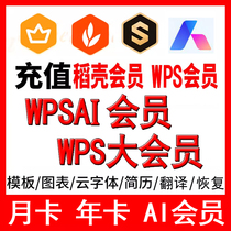 WPSAI рисовая шелуха Участник конференции WPS Январь PDF в WordPPT супер 1 год ремонт документов Плакат Цзиньшань