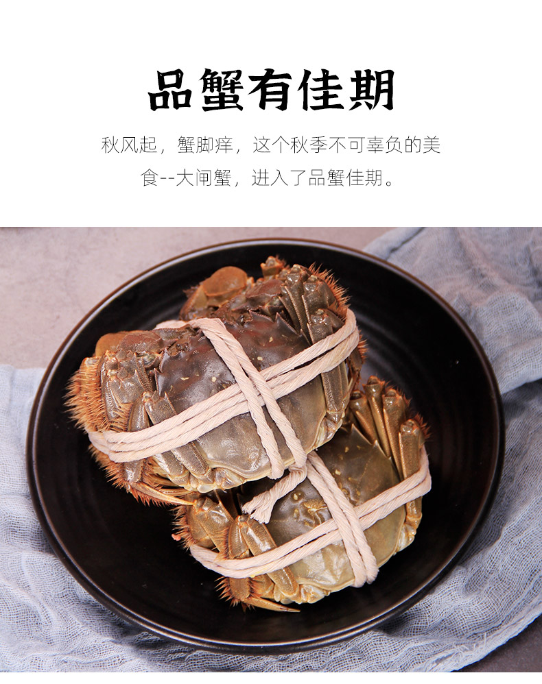 天猫超市 四记联洋 鲜活大闸蟹礼盒 3.5两公+2.5两母 各4只 图5