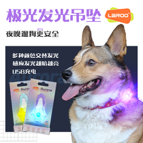 LaRoo Aurora Pet Light Night Walking Dog Light Glowing Dog Anti-Lost Light Pendant LED Collar Supplies