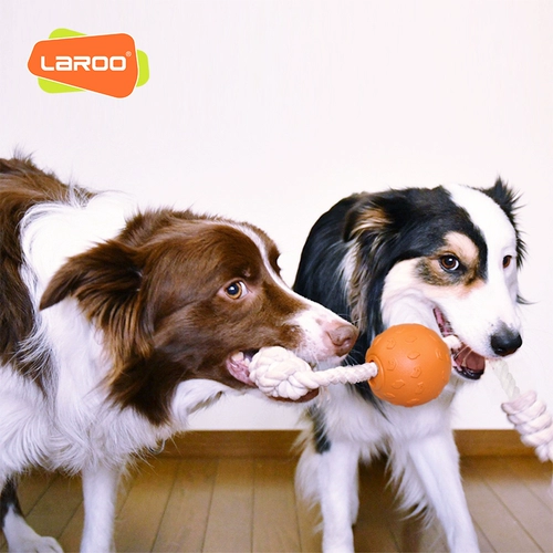 Laroo Laroo Laeno Dog Toy Toys Toys Pattooing веревка реки Mogana Perving Toys Maped Ball Teddy Dog Dog