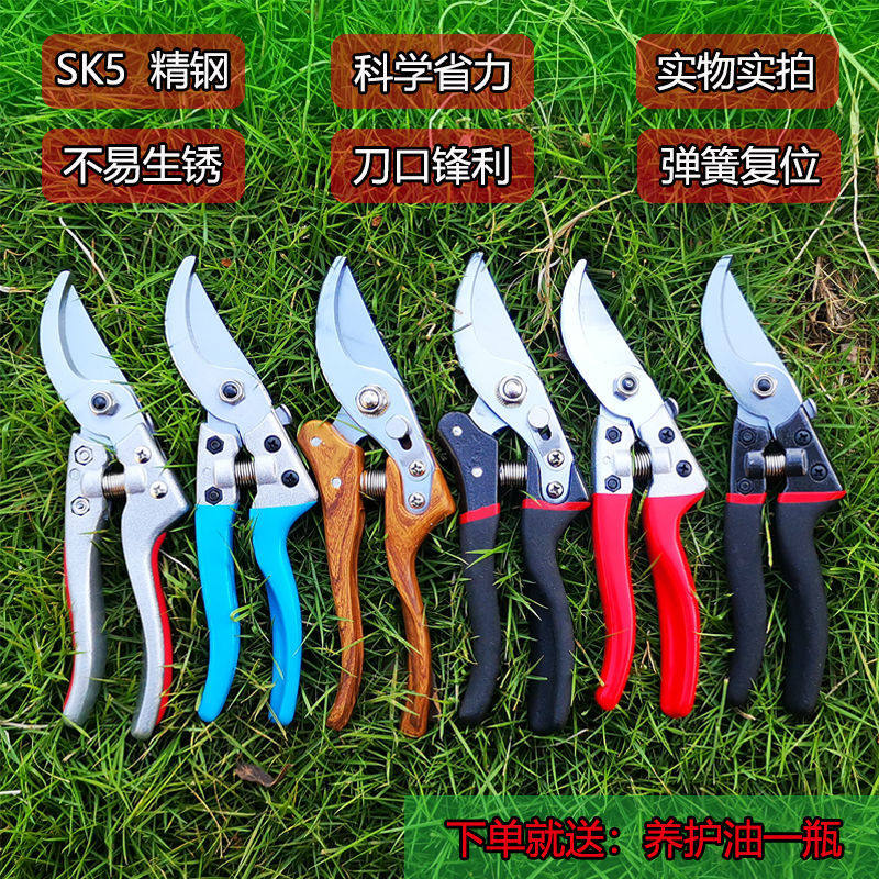 Fruit tree scissors branch pruning gardening pruning shears thick branches labor-saving stainless steel flower scissors flower branch shears