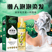 Pure Vegetal Bubble Hair Dye Yourself At Home Dyed Hair Cream Pleasing Silk Delight Natural No Stimulation Flagship Store