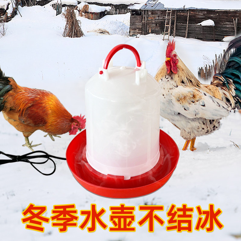 萌宠必备！芦丁鸡饲料桶&amp;饮水器，养鸡新手也能轻松上手！✨