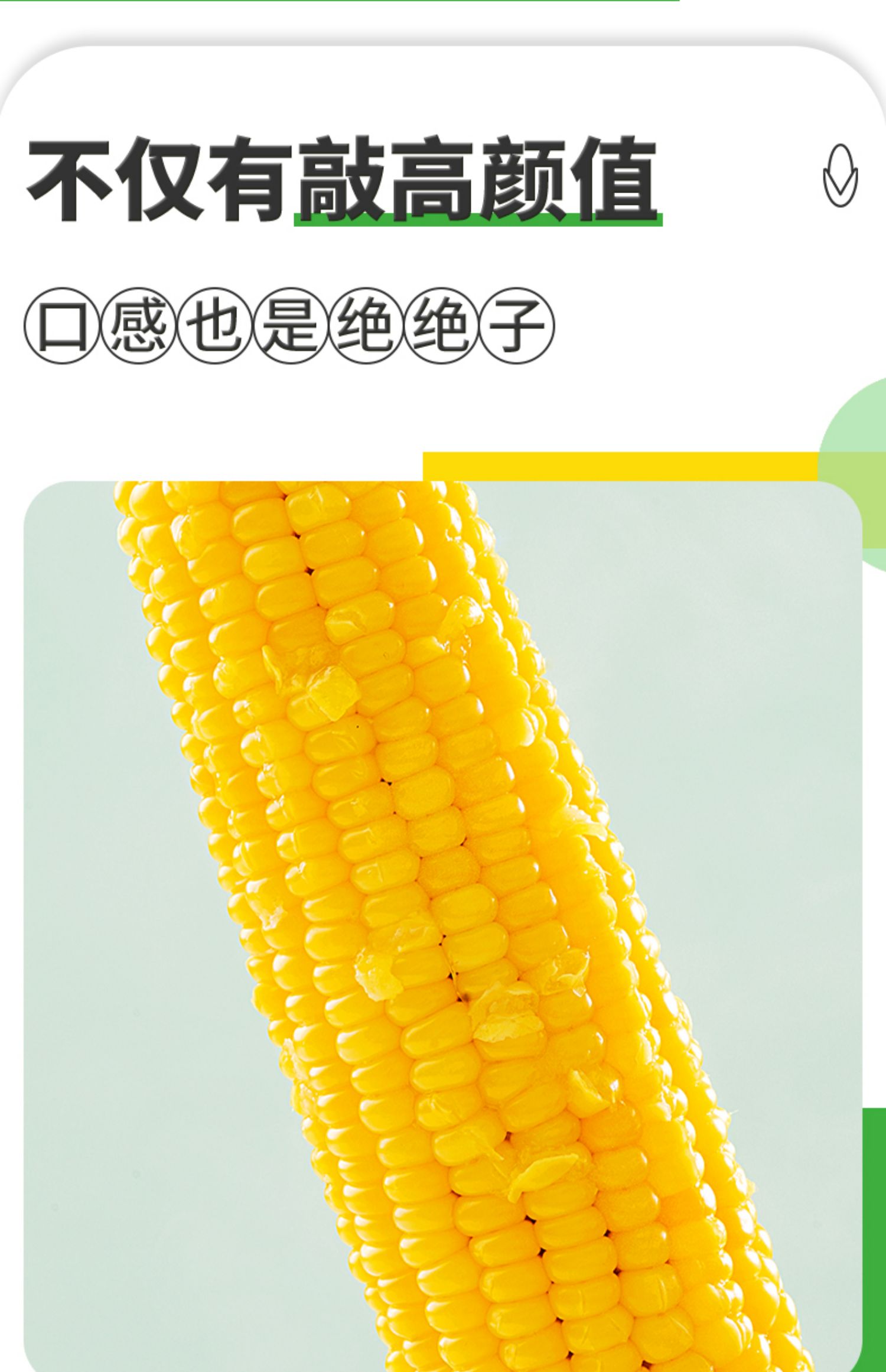 【淘源好货】鲜食糯玉米8支