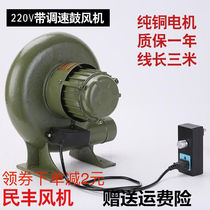 220V Home blowers Electric blowers stove Barbecue Combustion-Throttle Blast Blower High Power Blowers