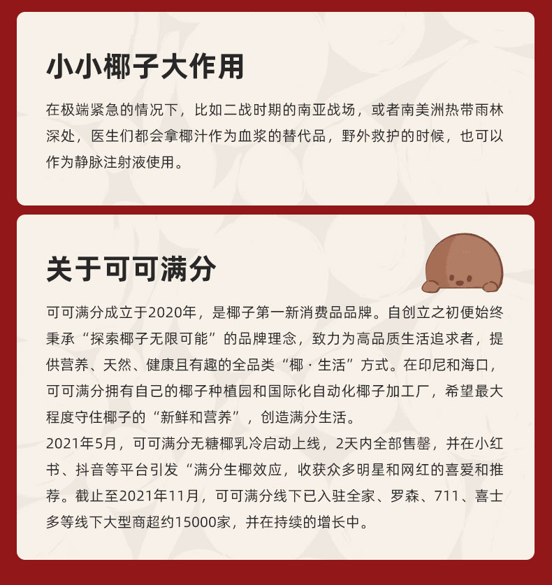 可可满分椰乳椰子零食礼盒10件新年礼盒