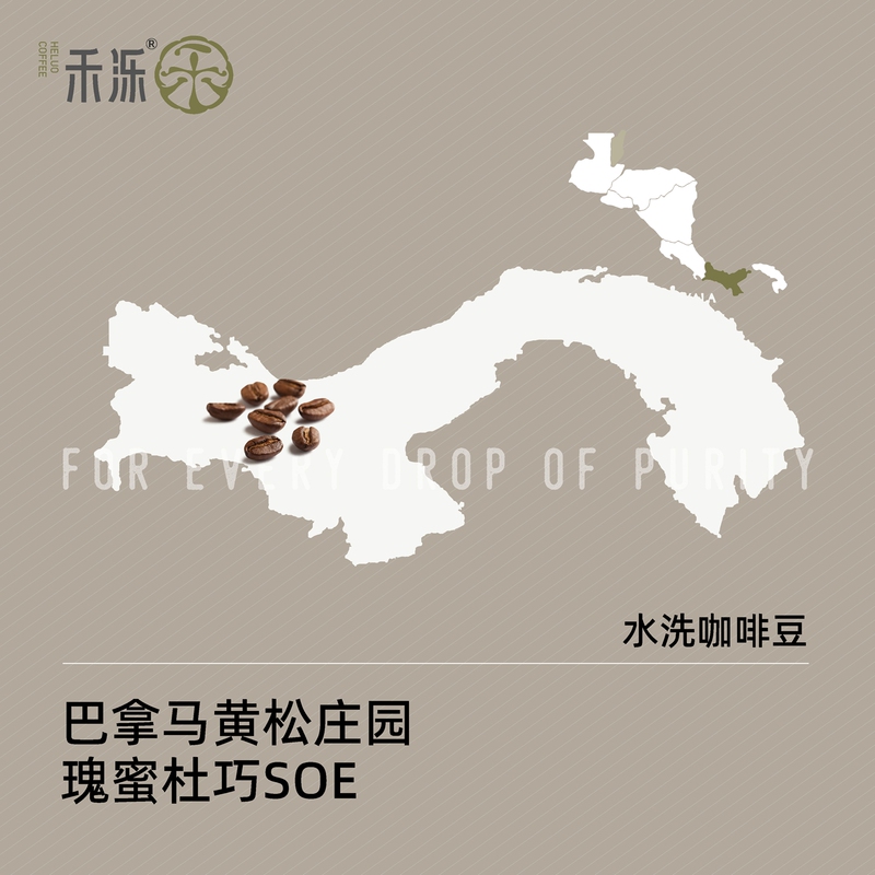 Huangsong Manor Mixed-Variety Panama Gesha Cardura Soe Coffee Beans Can Be Ground into Powder, He Lu Coffee Can Be Ordered and Roasted Huangsong Manor Mixed-Variety Panama Gesha Cardura Soe Coffee Beans Can Be Ground into Powder, He Lu Coffee Can Be Ordered and Roasted