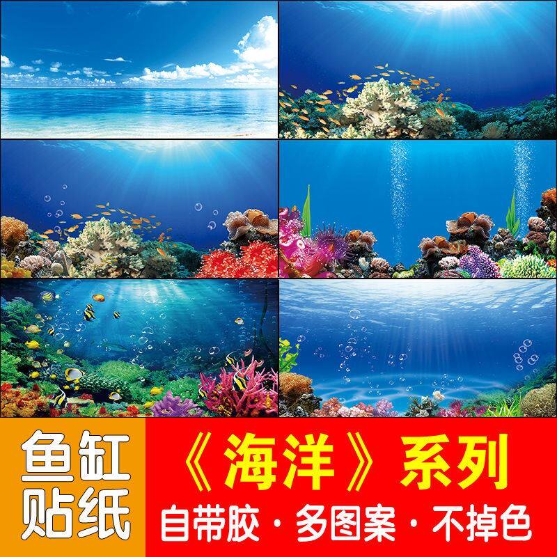 Small fish tank background sticker marine seafloor world front Bring your own adhesive red dragon fish blue HD durable water resistant