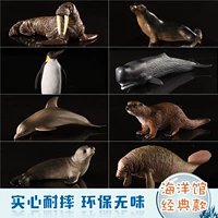 8 Классический аквариум