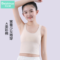 Girls' Underwear Developmental Elementary School Girls 8-12 Years Stage Ia Pure Cotton Children's Bottoming Vest Underwear