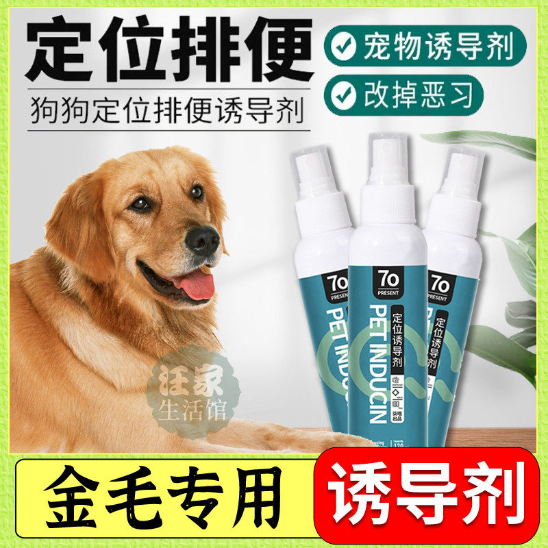 Gold gross special dog location defecation inducing agent training toilet liquid leading to a large canine mess of urine supplies guide