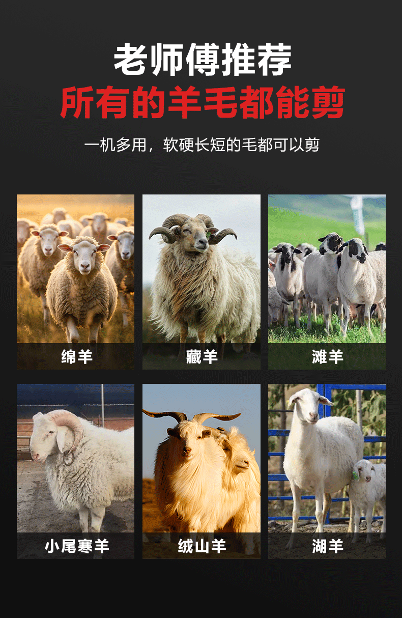 Ножницы 光祖电动羊毛剪电推子绵羊刀片电剪刀剃毛机大功率调速剪羊毛神器